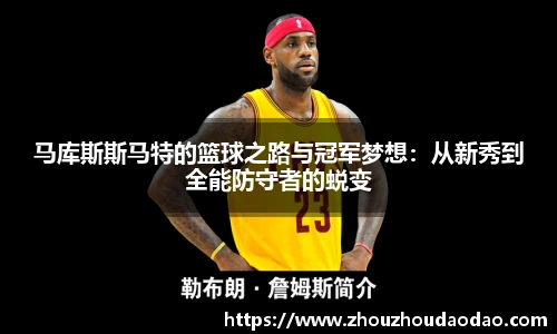 333体育官网入口